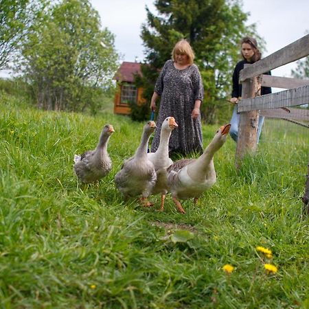 Holiday Home Dom Pod Lipoy Pridorozhnaya Eksteriør bilde